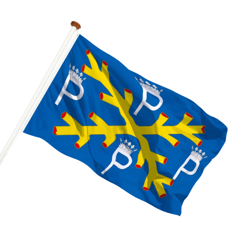 Flag of Philippeville