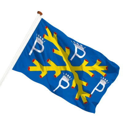 transparent background
