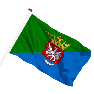 transparent background