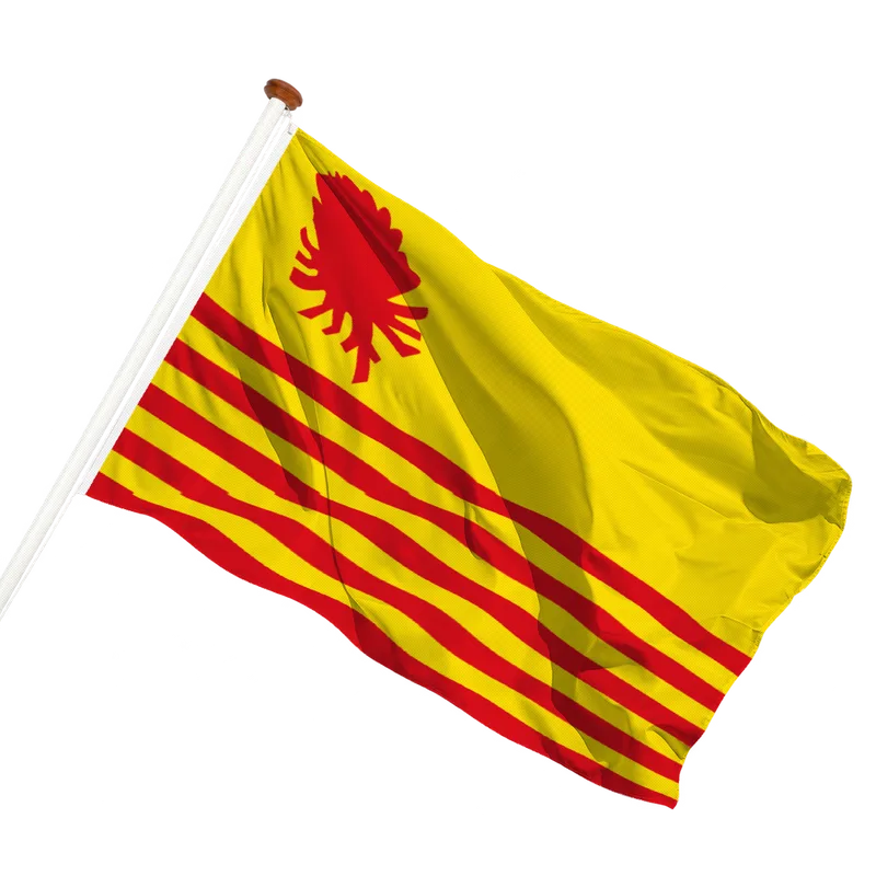 Flag of Gemeente Borsbeek