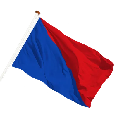 transparent background