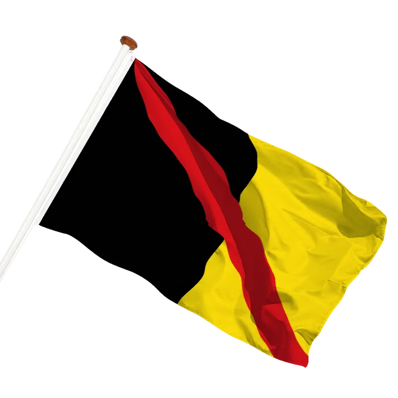 Flag of Fontaine-l'Évêque