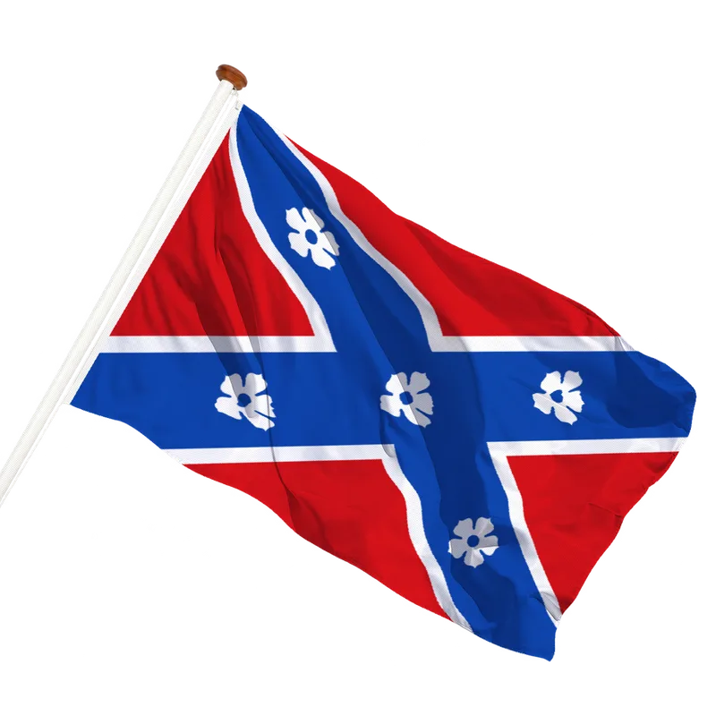 Flag of Frasnes-lez-Anvaing