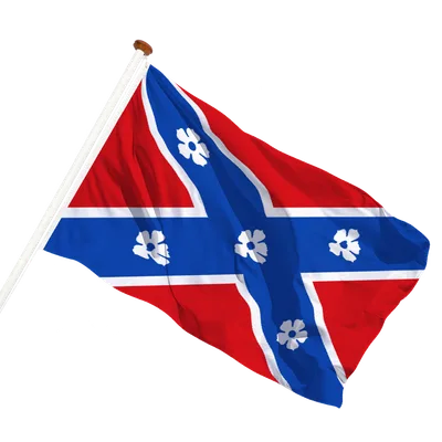 transparent background