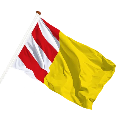 transparent background