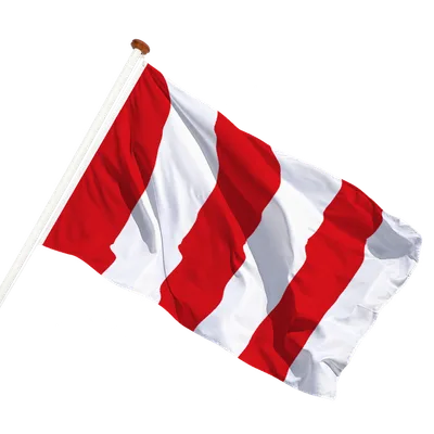 transparent background