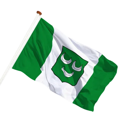 transparent background