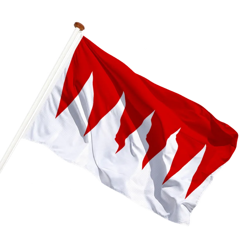 Flag of Burdinne