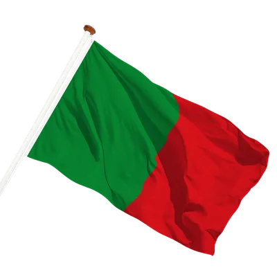 transparent background