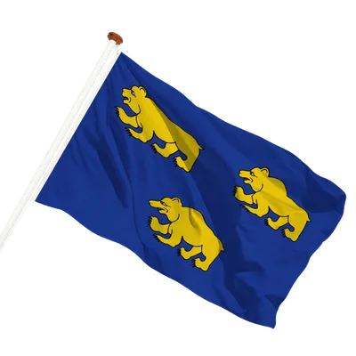 transparent background