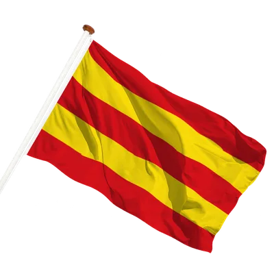 transparent background