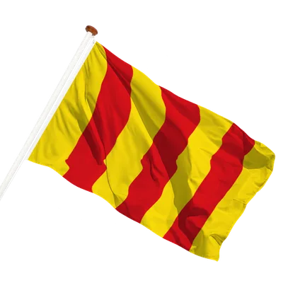 transparent background