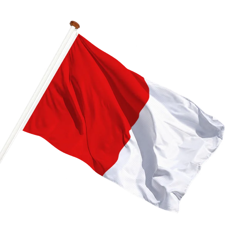 Flag of Sint-Pieters-Leeuw