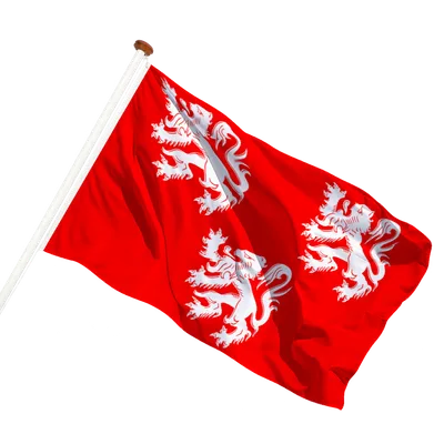transparent background