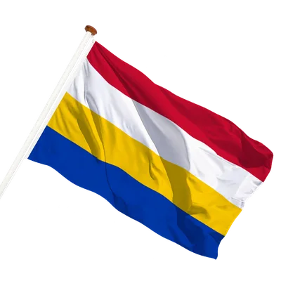 transparent background