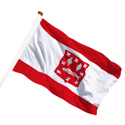 transparent background