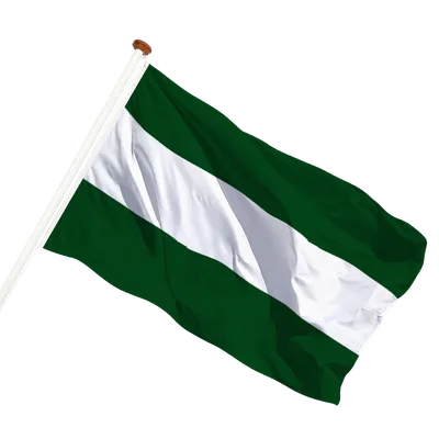 transparent background