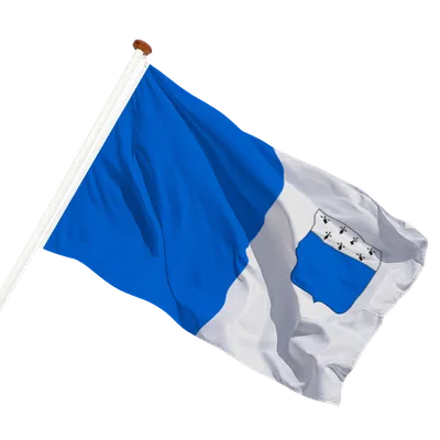 transparent background