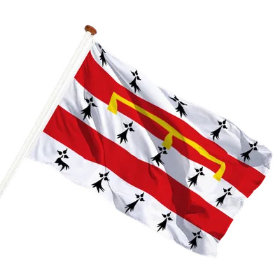 transparent background