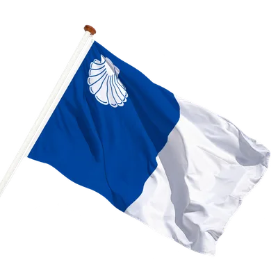 transparent background