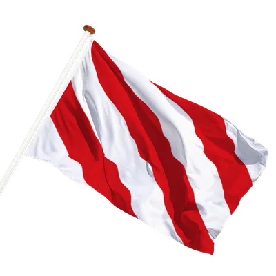 transparent background