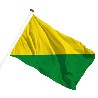 transparent background