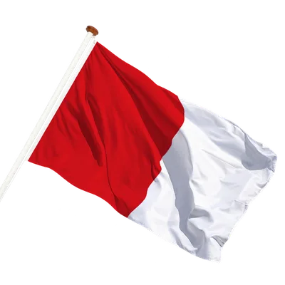 transparent background