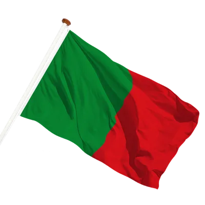 transparent background