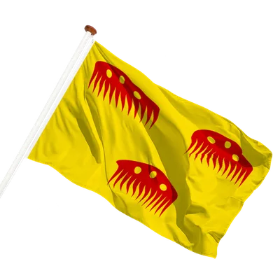 transparent background