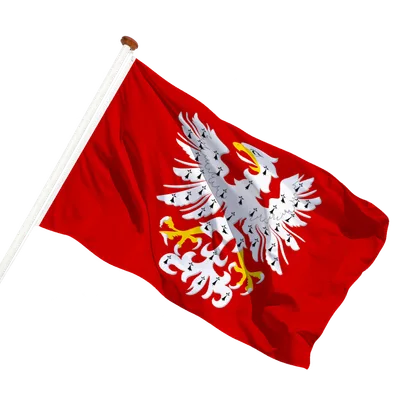 transparent background