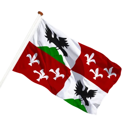 transparent background