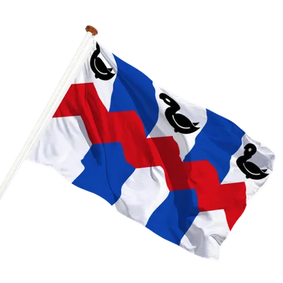 transparent background