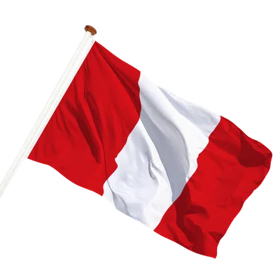 transparent background