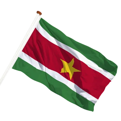 transparent background