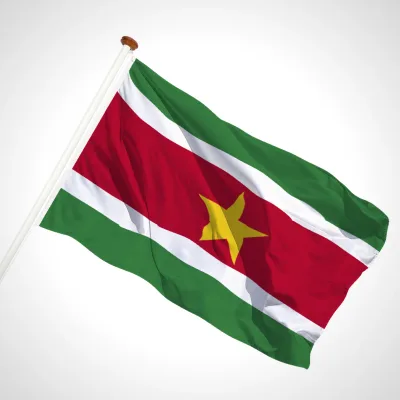 white background