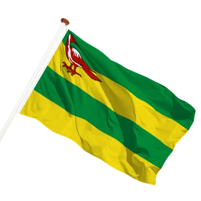 transparent background