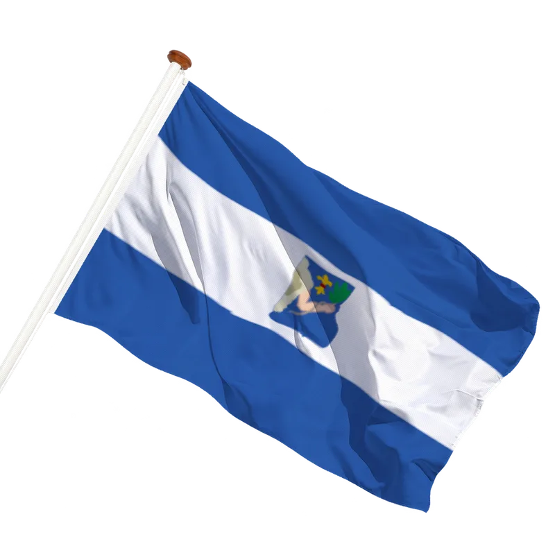 Flag of Veendam