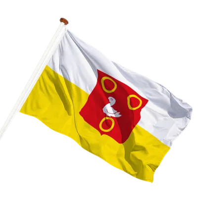transparent background