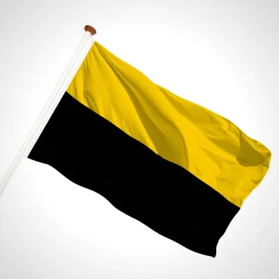white background