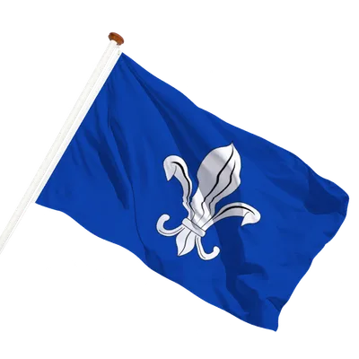transparent background