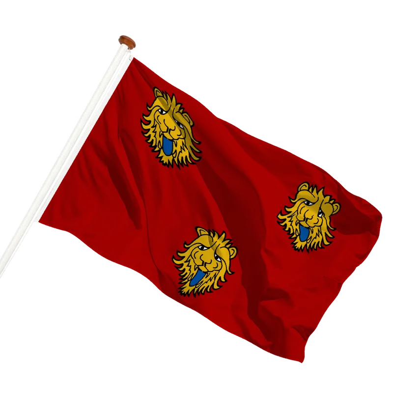 Flag of Staden