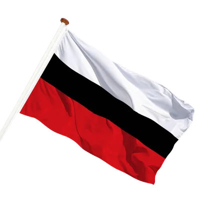 transparent background