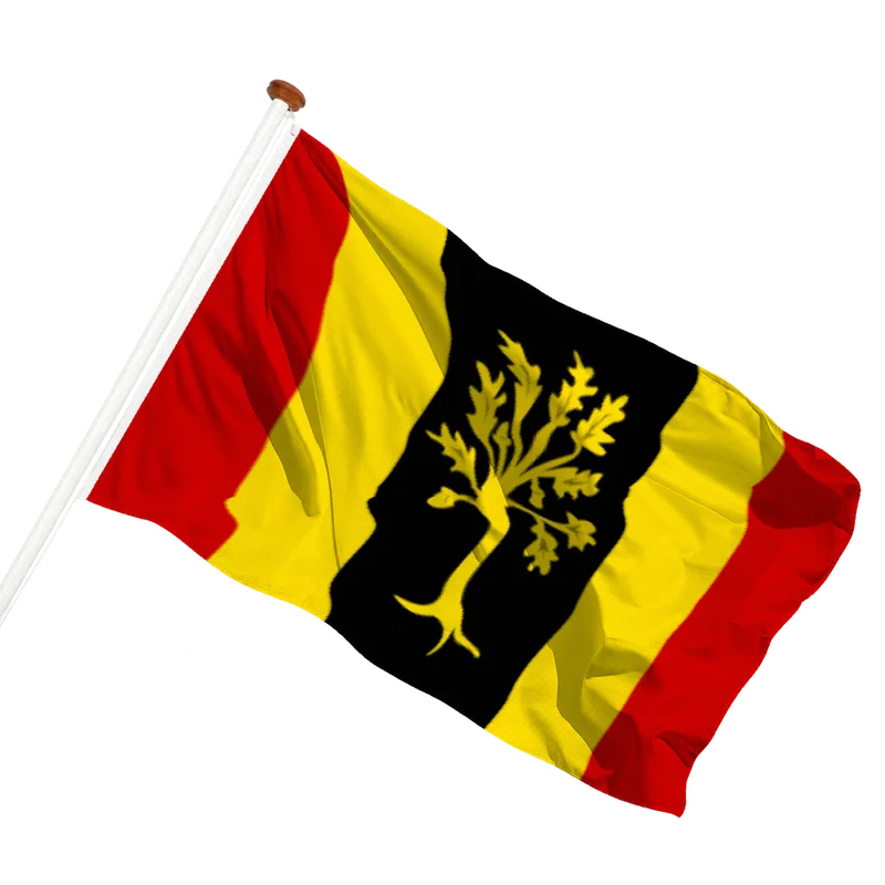Flag of Waalwijk