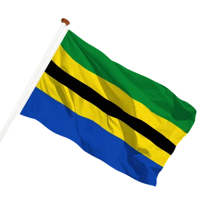 transparent background