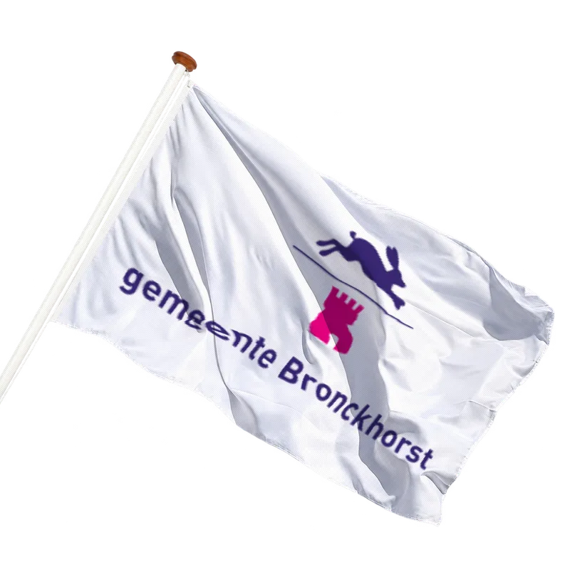 Flag of Bronckhorst