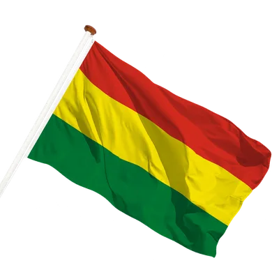 transparent background