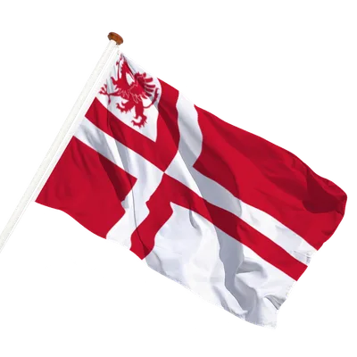 transparent background