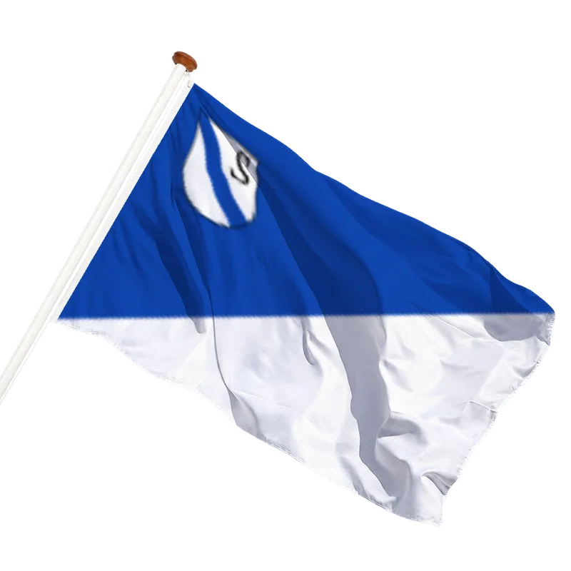 Flag of Schoondijke