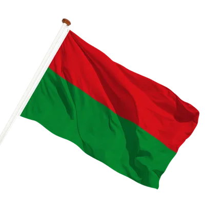 transparent background