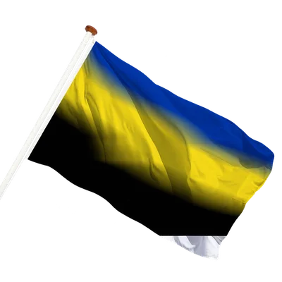 transparent background